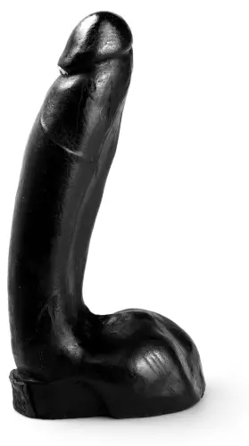 DP1002 16 x 4,5 cm – 2/2