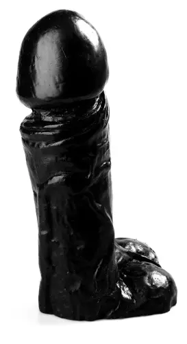 BT09 25 x 8,5 cm – 3/3