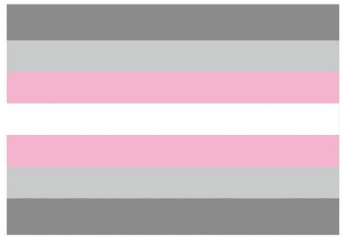Demigirl Flag 60 x 90cm