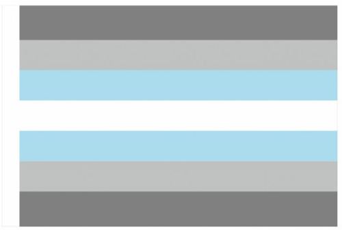 Demiboy Flag 60 x 90cm