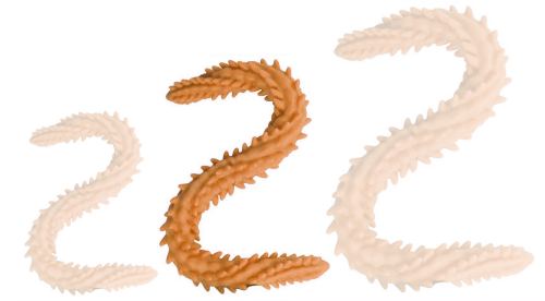 Double Dildo Scolop M 50 x 4cm Orange