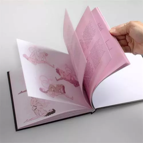 Erotisches Buch 69 Kamsutra Positionen – 3/9