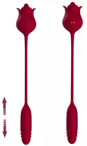 Stimulator and Vibrator Dwich Rose – 2/3