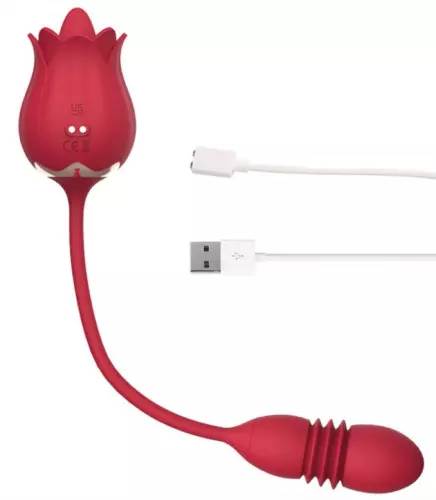 Clitoris and G-Spot Stimulator Rose Egg 9 x 3cm – 4/6