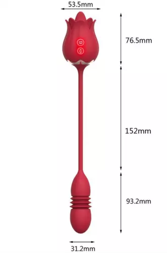 Clitoris and G-Spot Stimulator Rose Egg 9 x 3cm – 5/6