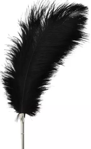 Taboom Tickler Feder 35cm – 4/5