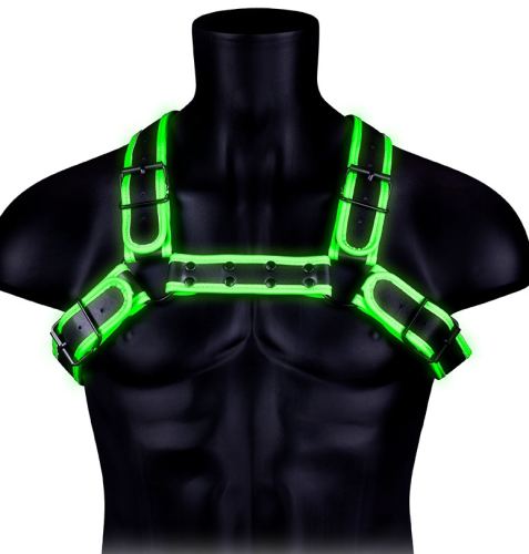 Glow Buckle Phosphorescent Harness Black