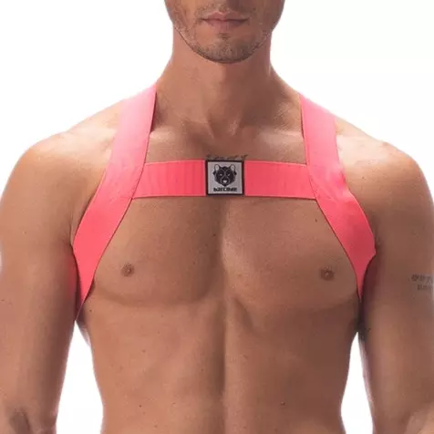 Elastischer Harness Leonsh Neon-Rosa – 1/3