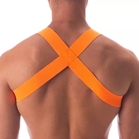 Elastischer Harness Leonsh Neon-Orange – 2/3