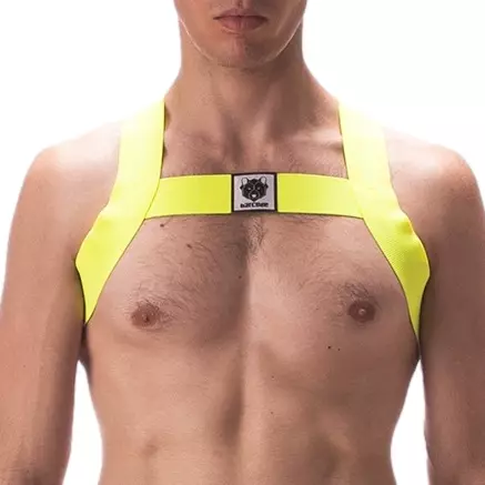 Elastischer Harness Leonsh Neon-Gelb – 1/3