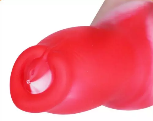 Plug Schwanz Dog Dick L 19 x 6,3cm – 6/10