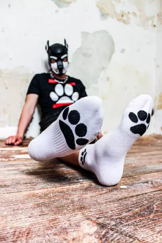 Weiße Socken Puppy Sk8erboy – 4/19