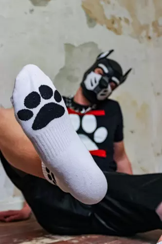 Weiße Socken Puppy Sk8erboy – 5/19