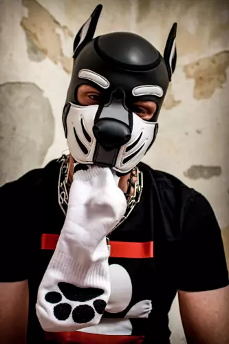 Weiße Socken Puppy Sk8erboy – 6/19
