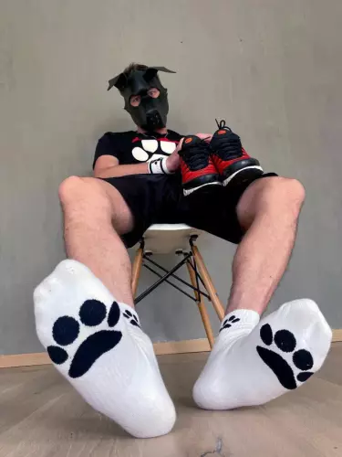Weiße Socken Puppy Sk8erboy – 8/19