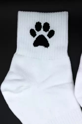 Weiße Socken Puppy Sk8erboy – 12/19
