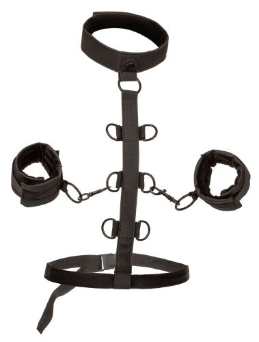 SM Restraints Collar Body Restraint Boundless