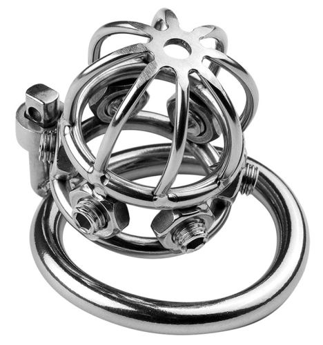Spike Cock Metal Chastity Cage 6 x 3.2cm