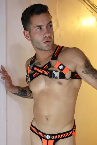 Harness Daycrawler Breedwell Schwarz-Orange – 7/15