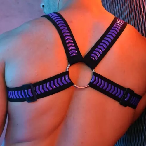 Harness DAYCRAWLER Breedwell Schwarz-Violett – 2/16