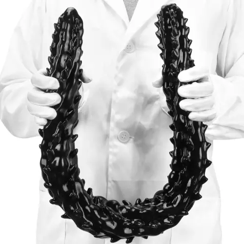 Dildo Big Silur 80 x 6,5cm Schwarz – 9/13