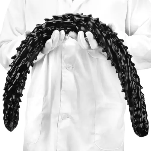 Dildo Big Silur 80 x 6,5cm Schwarz – 10/13