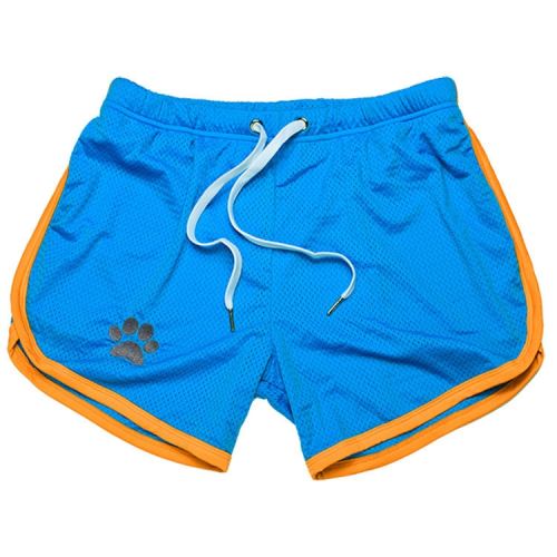 Short Paw Blue-Yellow
