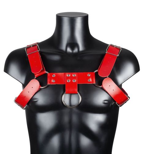Harnis Simili Harness Red