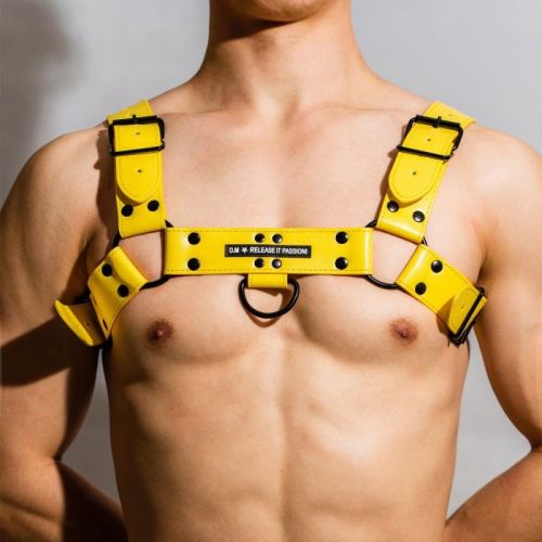 Chest All Yellow Harness