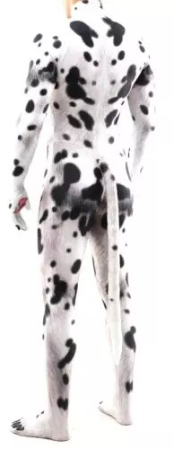 Cosplay-pak hond Dalmatier Zwart-Wit – 3/8