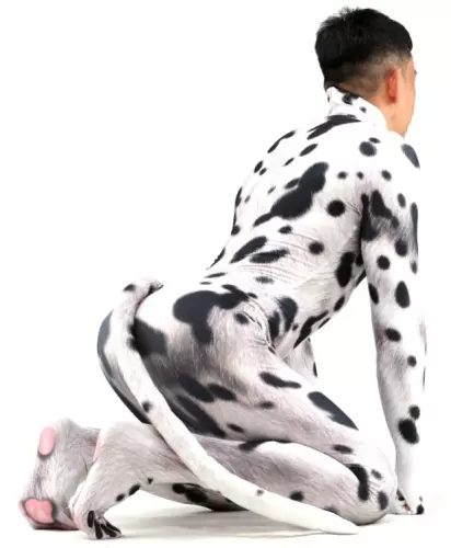 Cosplay-pak hond Dalmatier Zwart-Wit – 6/8