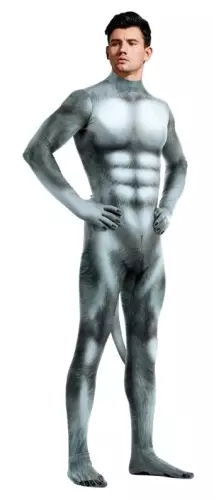 Cosplay-pak wolf Wolf Grijs – 2/4