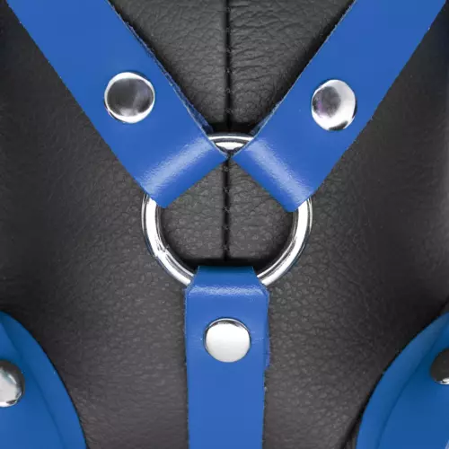 Bendy The Bdsm Teddy Bear Blue Leather Bear – 3/3