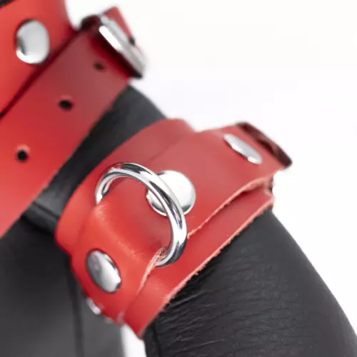 Bendy The Bdsm Teddy Bear Red Leather Bear – 3/3