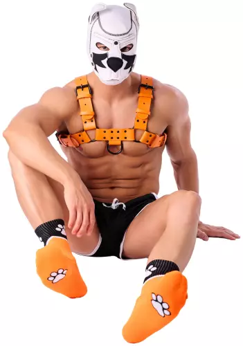 Socken Paw Kinky Puppy Orange – 6/6