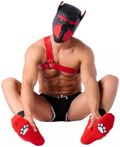 Socken Paw Kinky Puppy Rot – 2/5