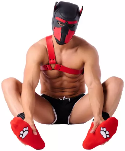 Socken Paw Kinky Puppy Rot – 5/5