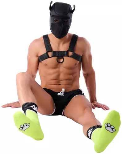 Socken Paw Kinky Puppy Neongelb – 2/4