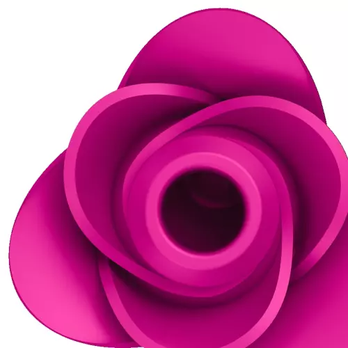 Clitoris Stimulator Pro 2 Modern Fuchsia - Blossom – 4/5
