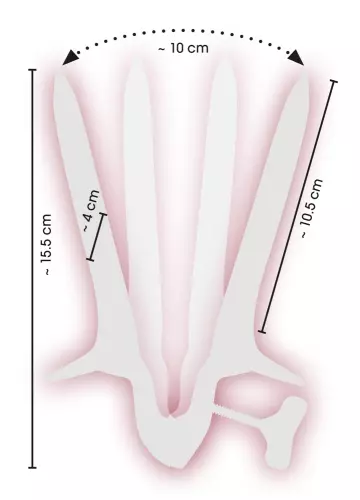 Spéculum Ass View 10.5 cm - Largeur 3.5-10cm – 6/7