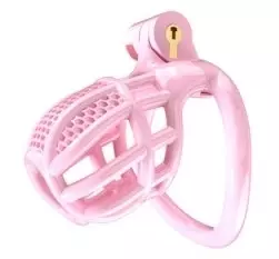 Cage de Chasteté Nexia M 6.5 x 3.1cm Rose – 2/2