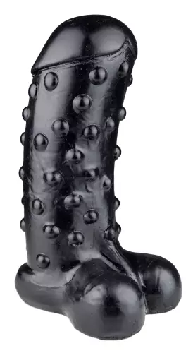 AGRYDIUS 28 x 12 cm – 2/9