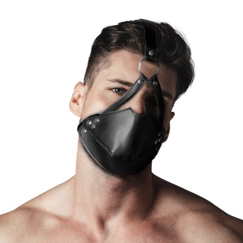 Muzzle with Gag Head Harness Black