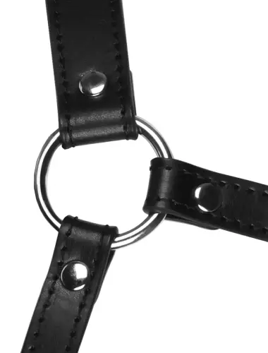 Maulkorb mit Knebel Head Harness Schwarz – 9/9
