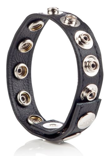 Leder Penisring 8 Druckknöpfe