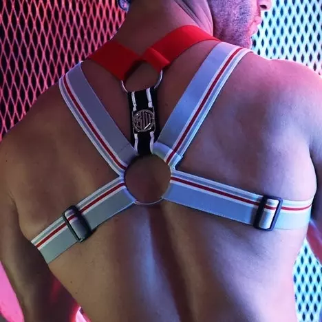 Harness Locker Room Grau – 2/16