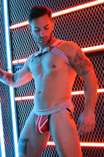 Harness Locker Room Grau – 5/16