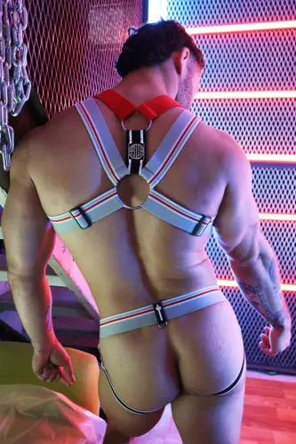Harness Locker Room Grau – 9/16