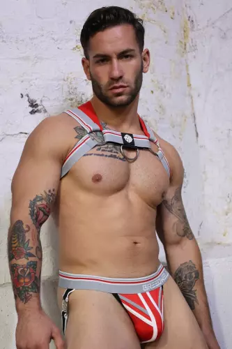 Harness Locker Room Grau – 15/16