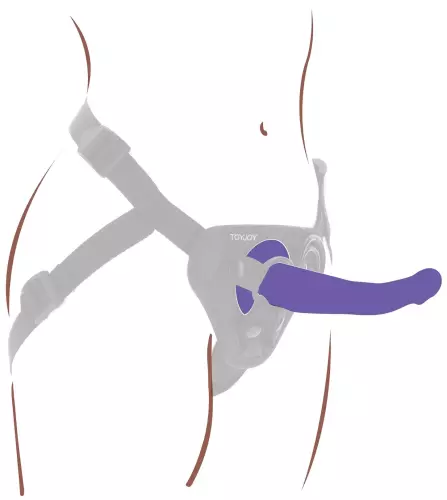Harness Dong M Purple – 4/4